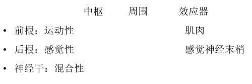 什么是正中神經(jīng)損傷？